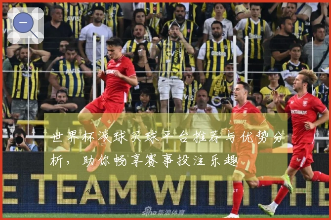 世界杯滚球买球平台推荐与优势分析，助你畅享赛事投注乐趣