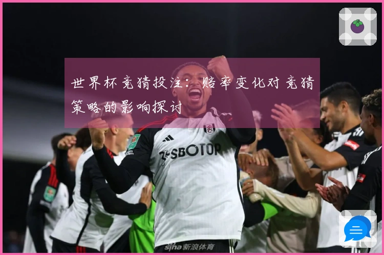 世界杯竞猜投注：赔率变化对竞猜策略的影响探讨