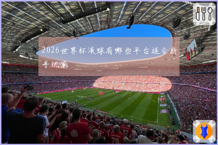 2026世界杯滚球有哪些平台适合新手玩家