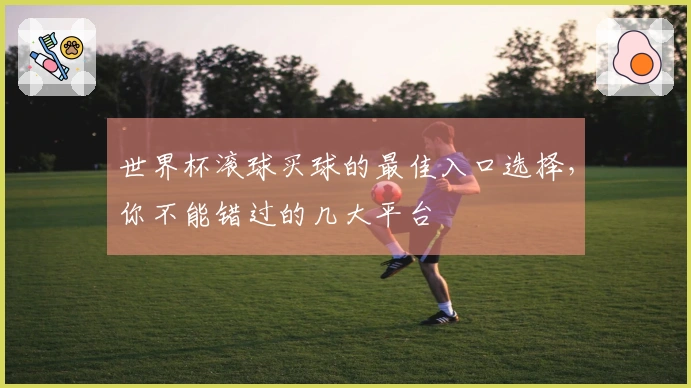 世界杯滚球买球的最佳入口选择，你不能错过的几大平台