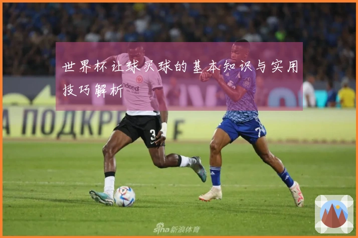 世界杯让球买球的基本知识与实用技巧解析