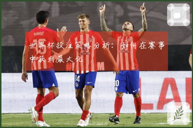 世界杯投注策略分析：如何在赛事中获利最大化