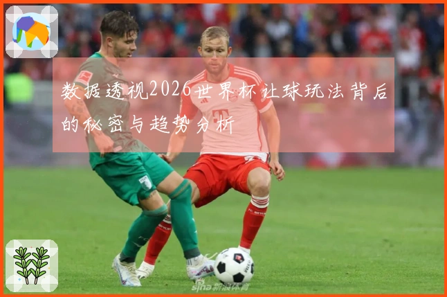数据透视2026世界杯让球玩法背后的秘密与趋势分析