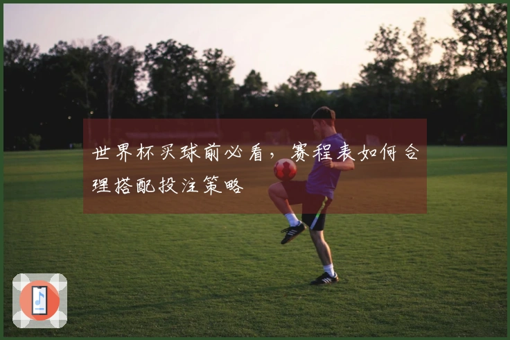 世界杯买球前必看，赛程表如何合理搭配投注策略