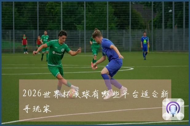 2026世界杯滚球有哪些平台适合新手玩家
