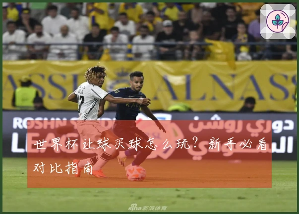 世界杯让球买球怎么玩？新手必看对比指南